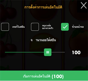 ภาพตัวอย่างการตั้งค่าการเล่นอัตโนมัติ