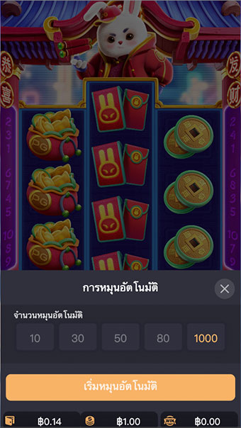 ภาพตัวอย่างการตั่งค่าการเล่นแบบอัตโนมัติ