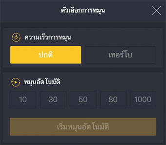 ภาพตัวอย่างการตั้งค่าการเล่นในรูปแบบอัตโนมัติ